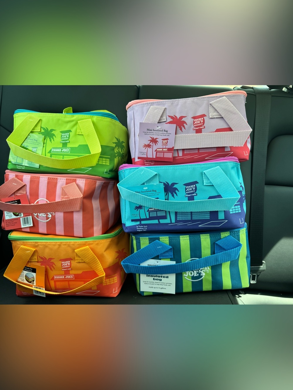 Trader Joes Summer 2026 Mini Insulated Bag Set of 6 Limited Edition